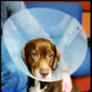 Meet your Posher, Leanne